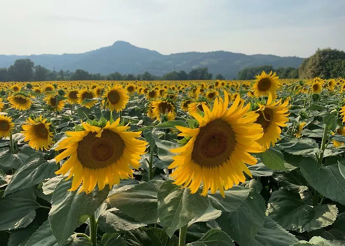 La Taverna * Fontanelice