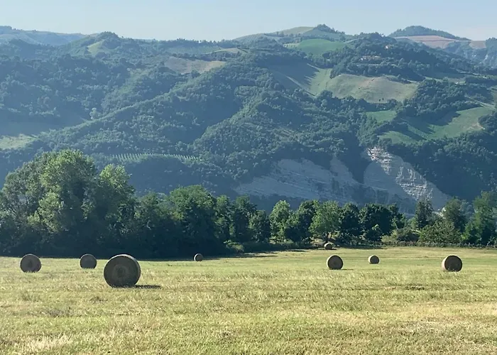 La Taverna Camping *