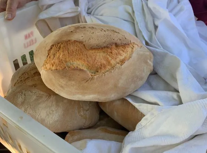 La Taverna Fontanelice