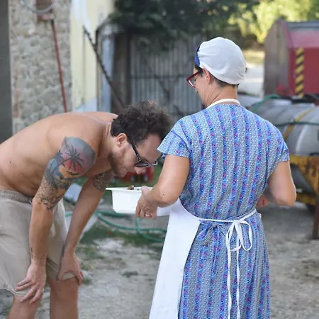 キャンプ場 La Taverna