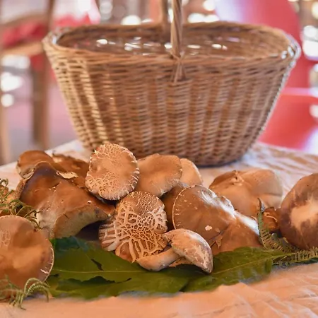 La Taverna مكان تخييم