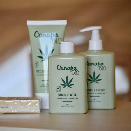 La Taverna キャンプ場 Fontanelice